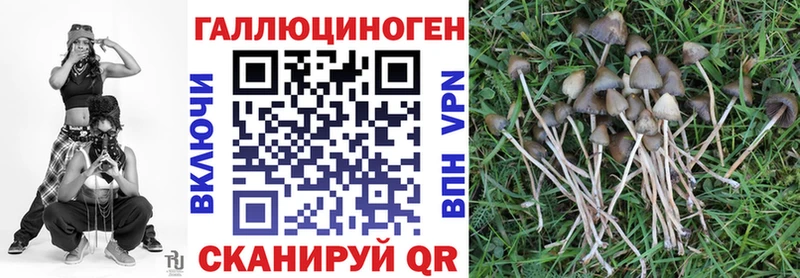 дарк нет какой сайт  Горячеводский  Галлюциногенные грибы Cubensis 